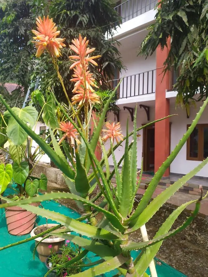 Palliyadiyil Homestay Thekkady